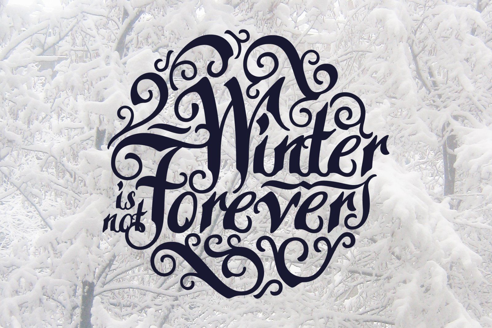 Late Frost — image 2