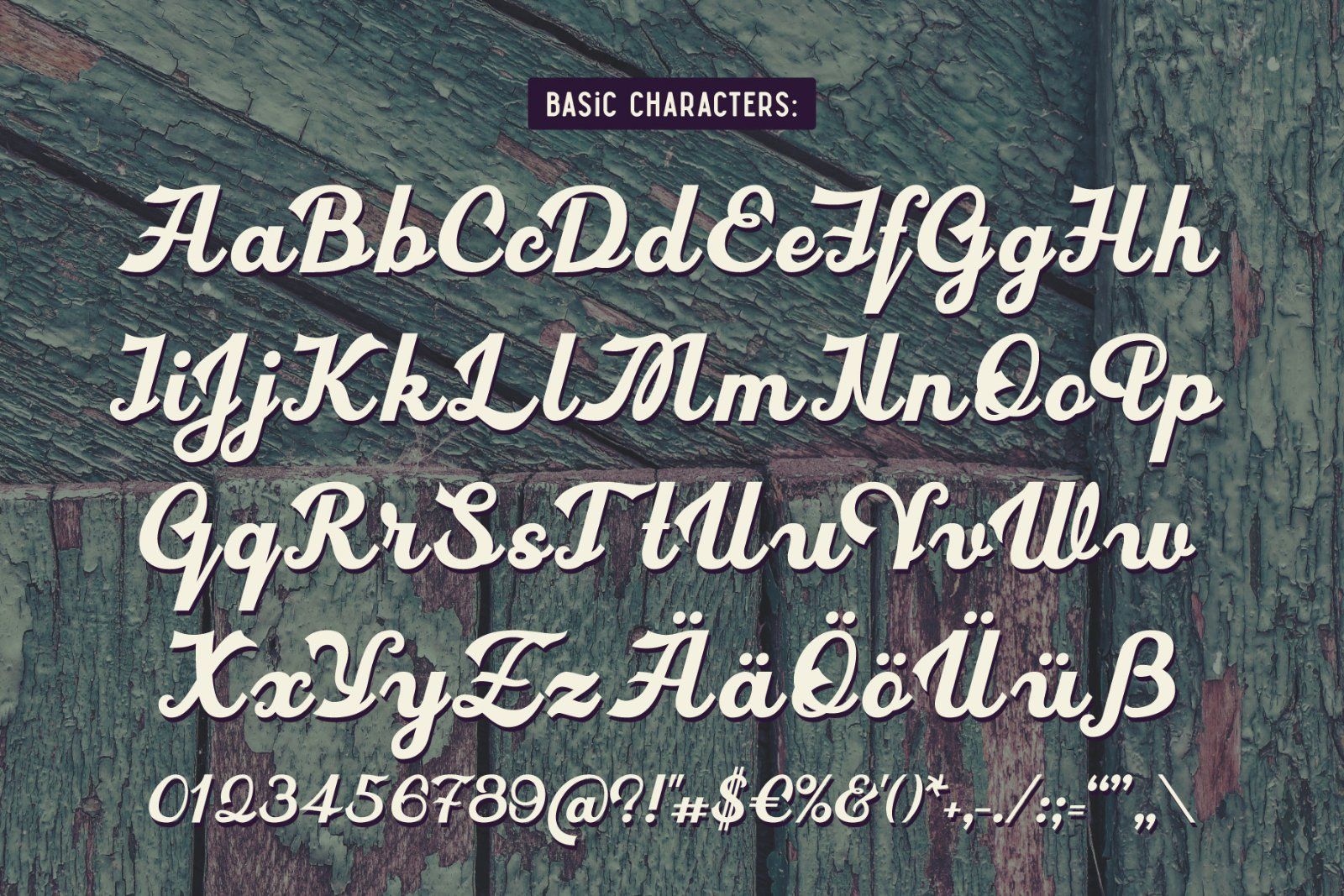 Hickson's Script + Bonus — image 5