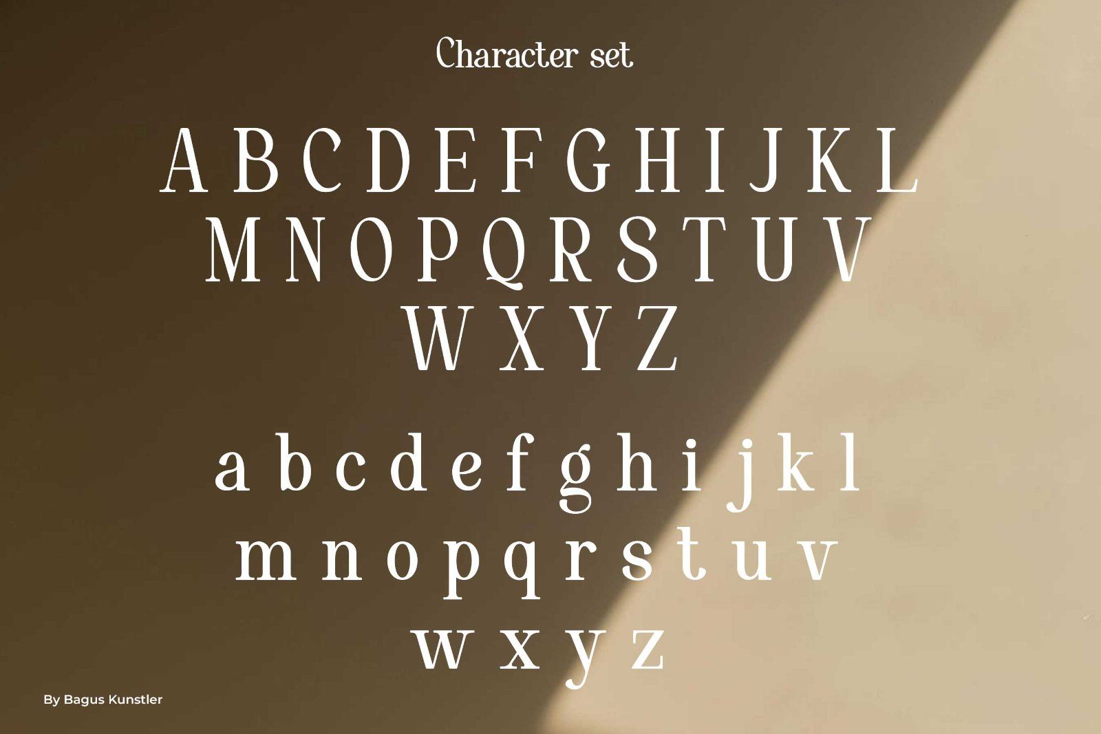 Vorina - Retro Serif Font