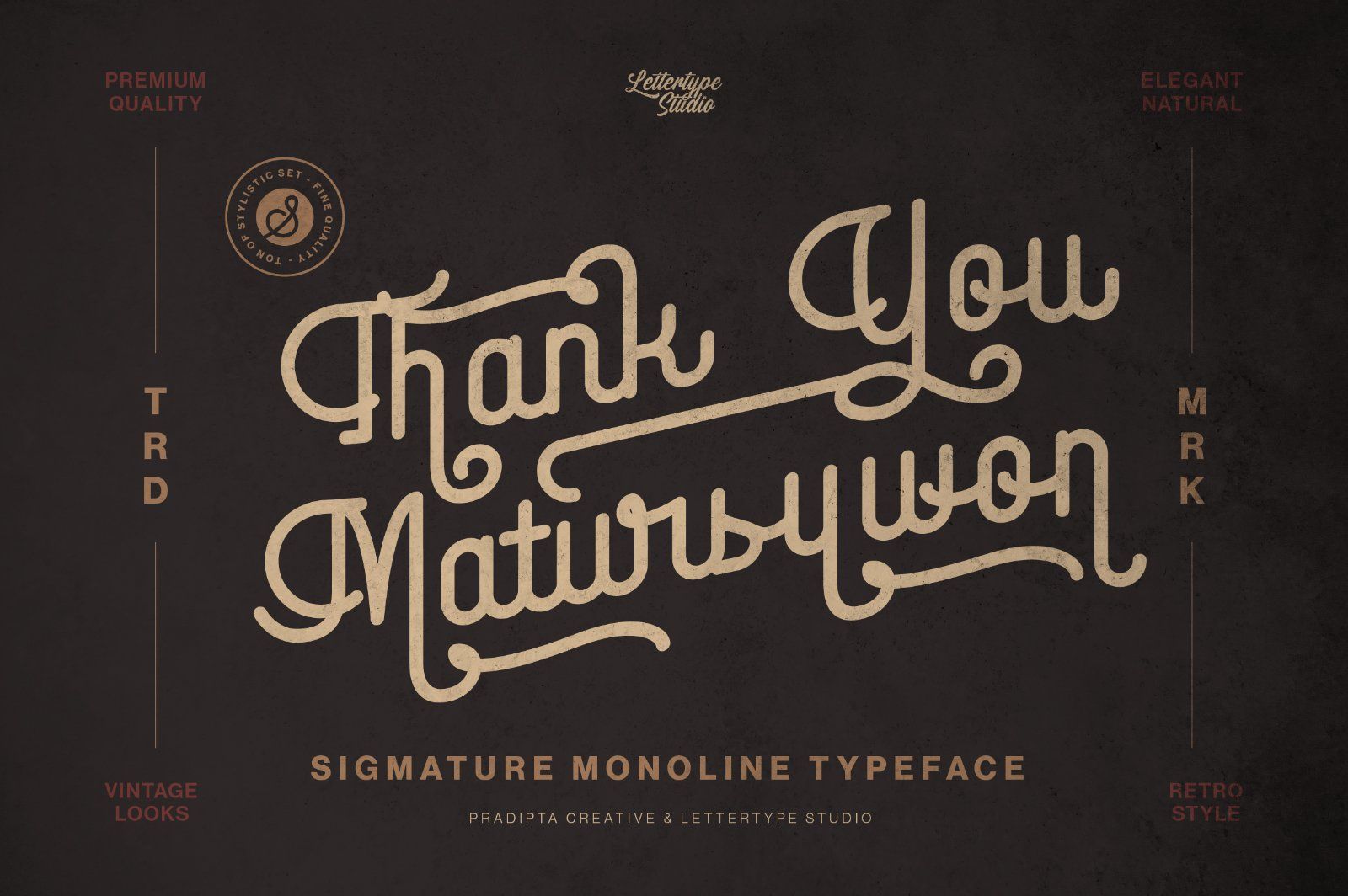 Sigmature Monoline Beautiful Script — image 15