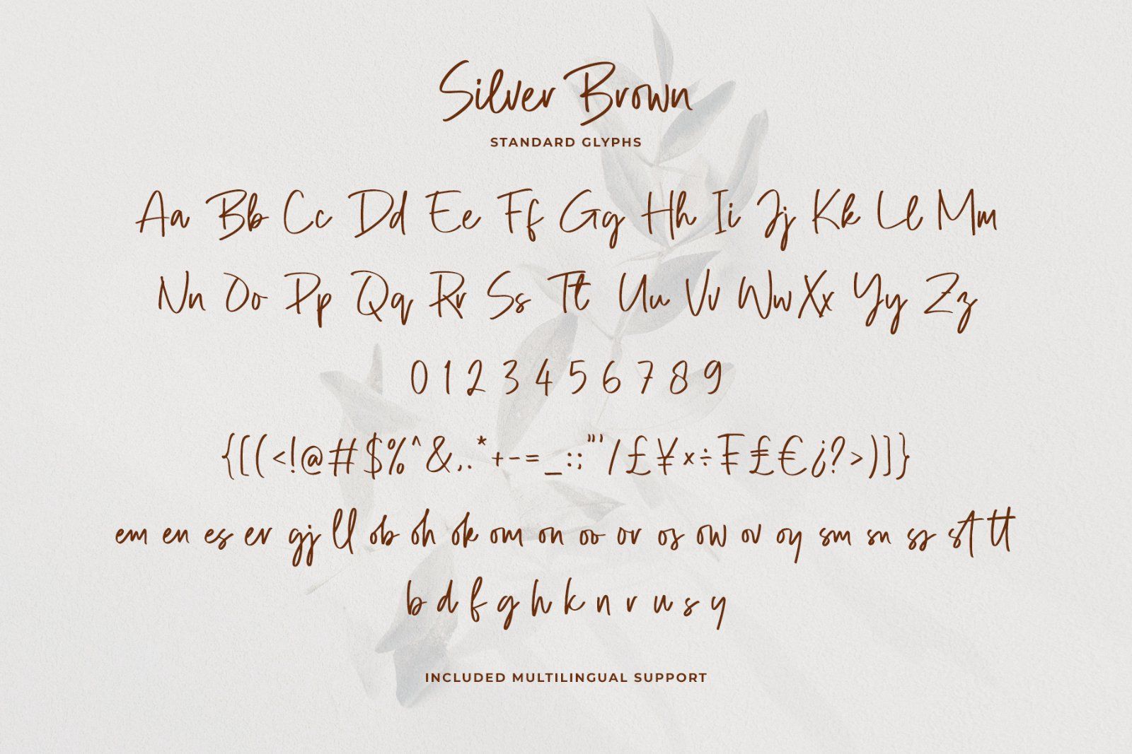 Silver Brown Modern Script Font — image 11