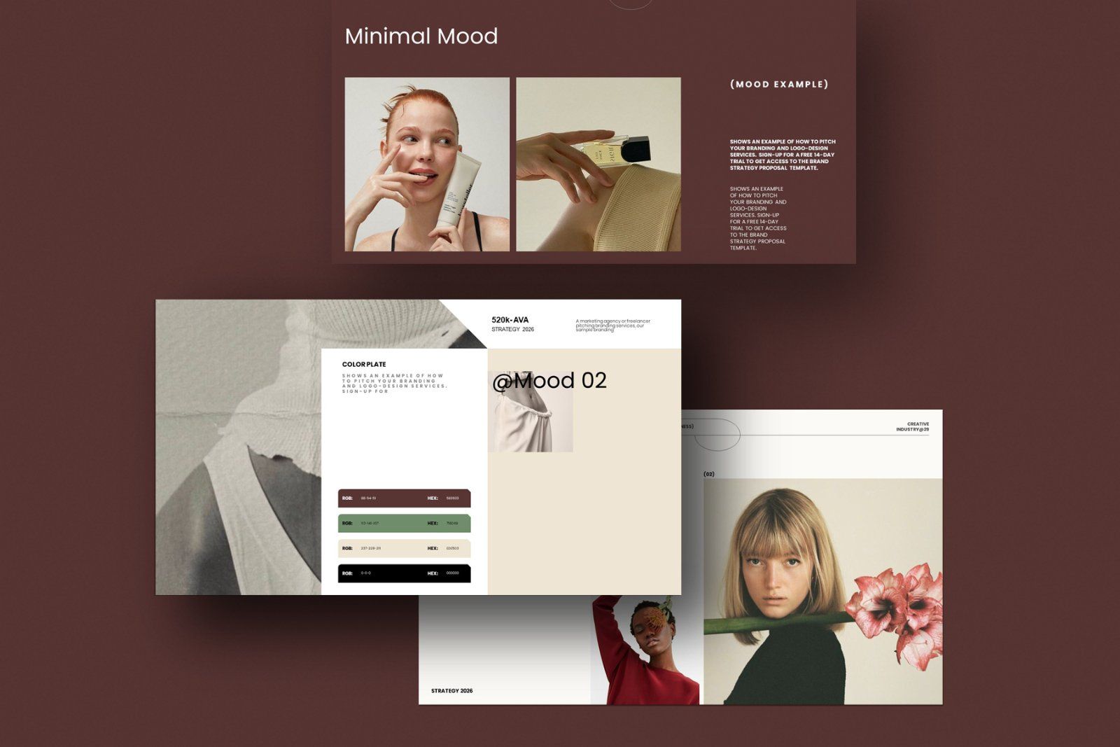 Mood Board Presentation Template