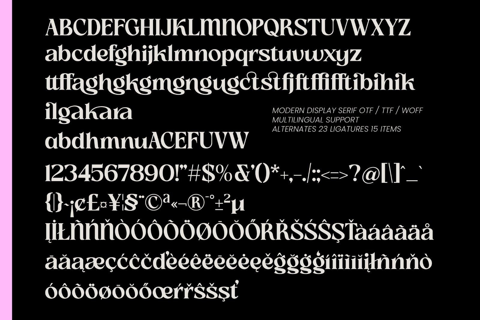 Slow Bar Stories Display Serif — image 8
