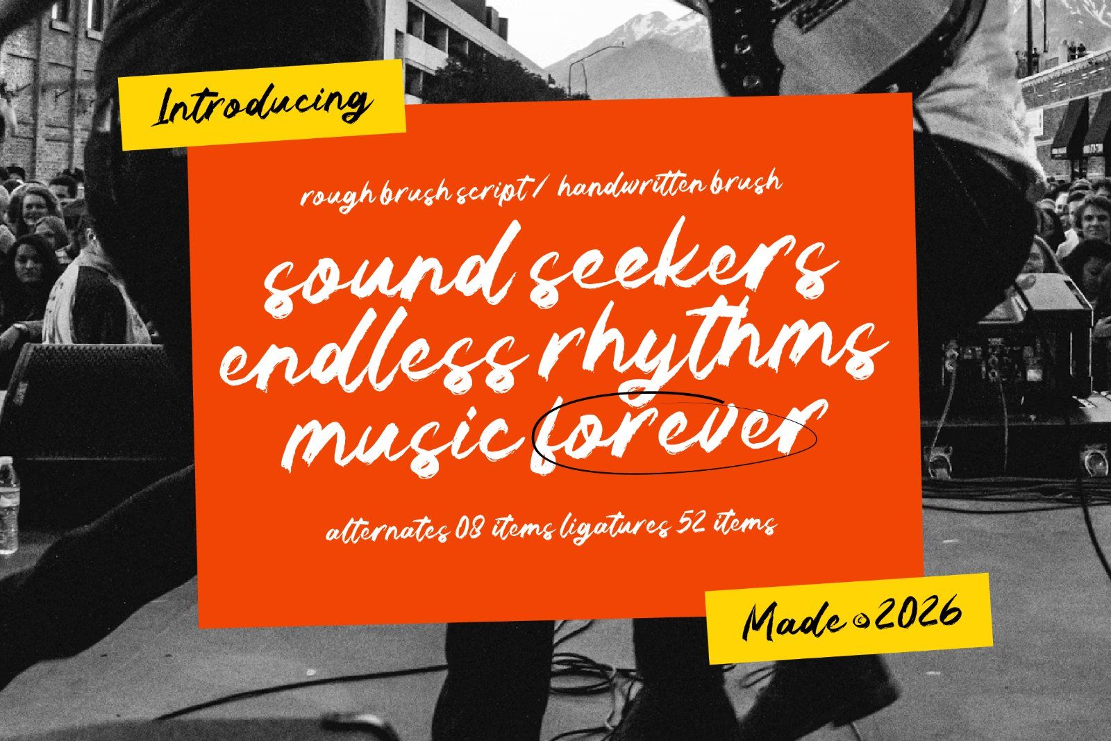 Sound Seekers Rough Brush Script — image 1