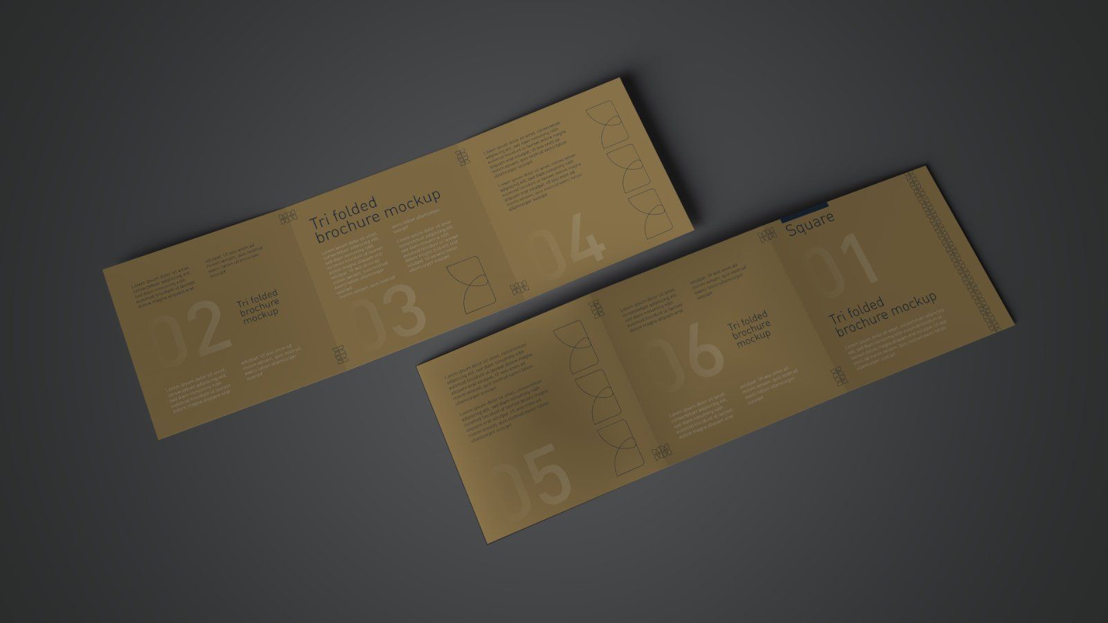 Square Tri Fold Brochure Mockup - 5 PSD Files Bundle