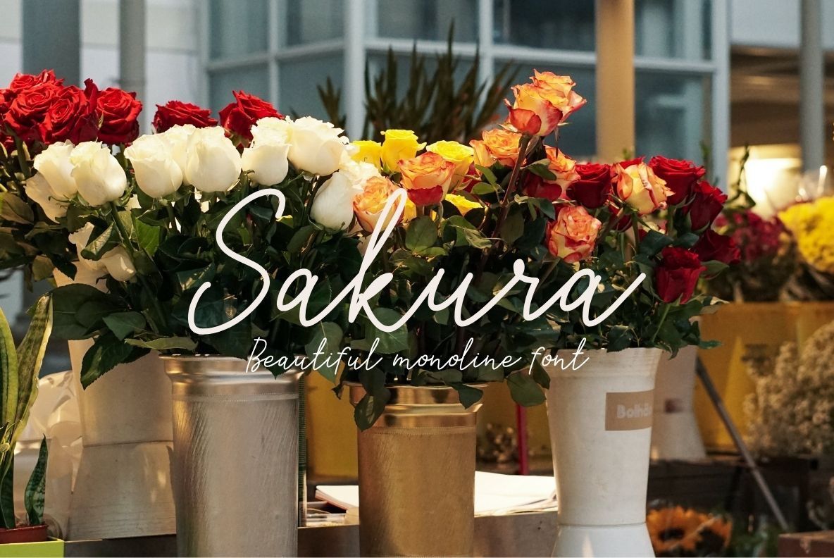 Sakura Font Set — image 1