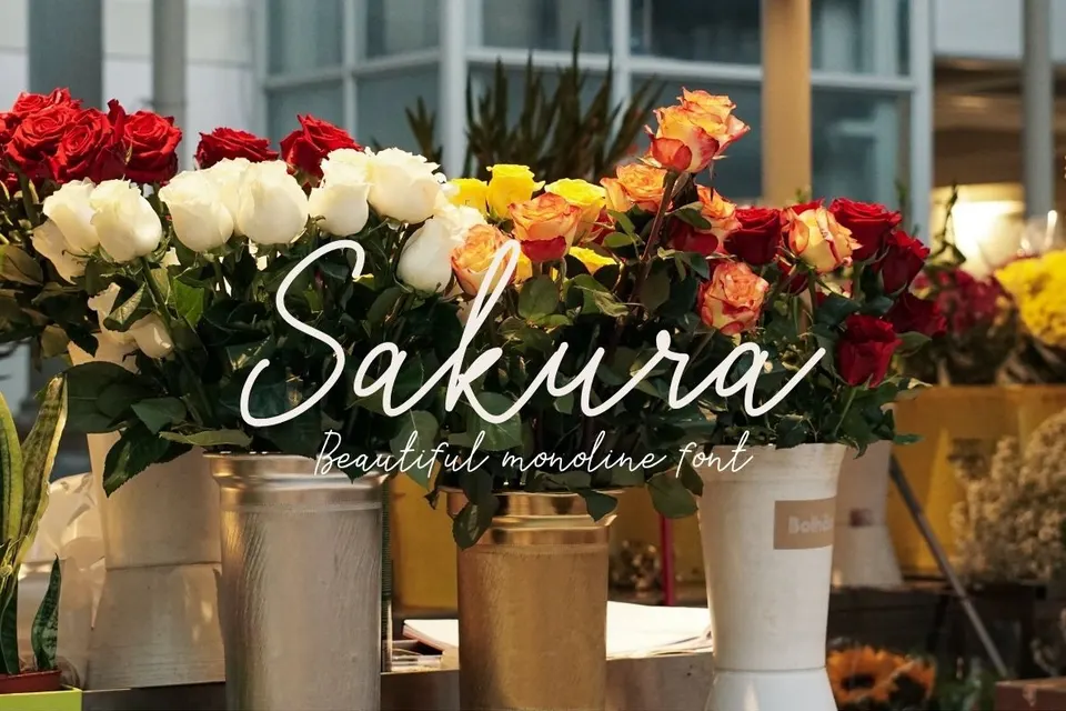 Sakura Font Set