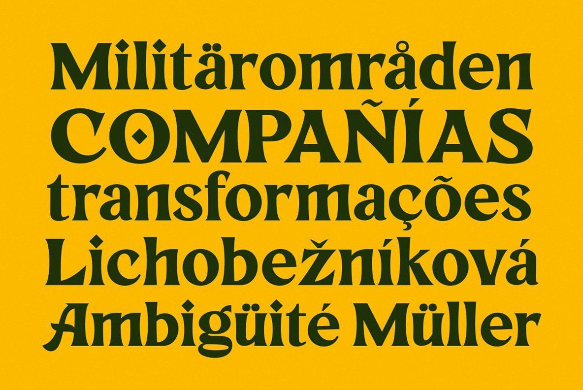 Rhinegold - Display Font — image 10