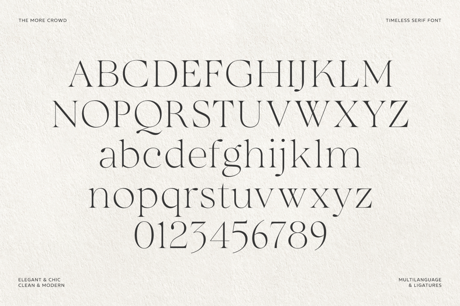 The More Crowd Serif