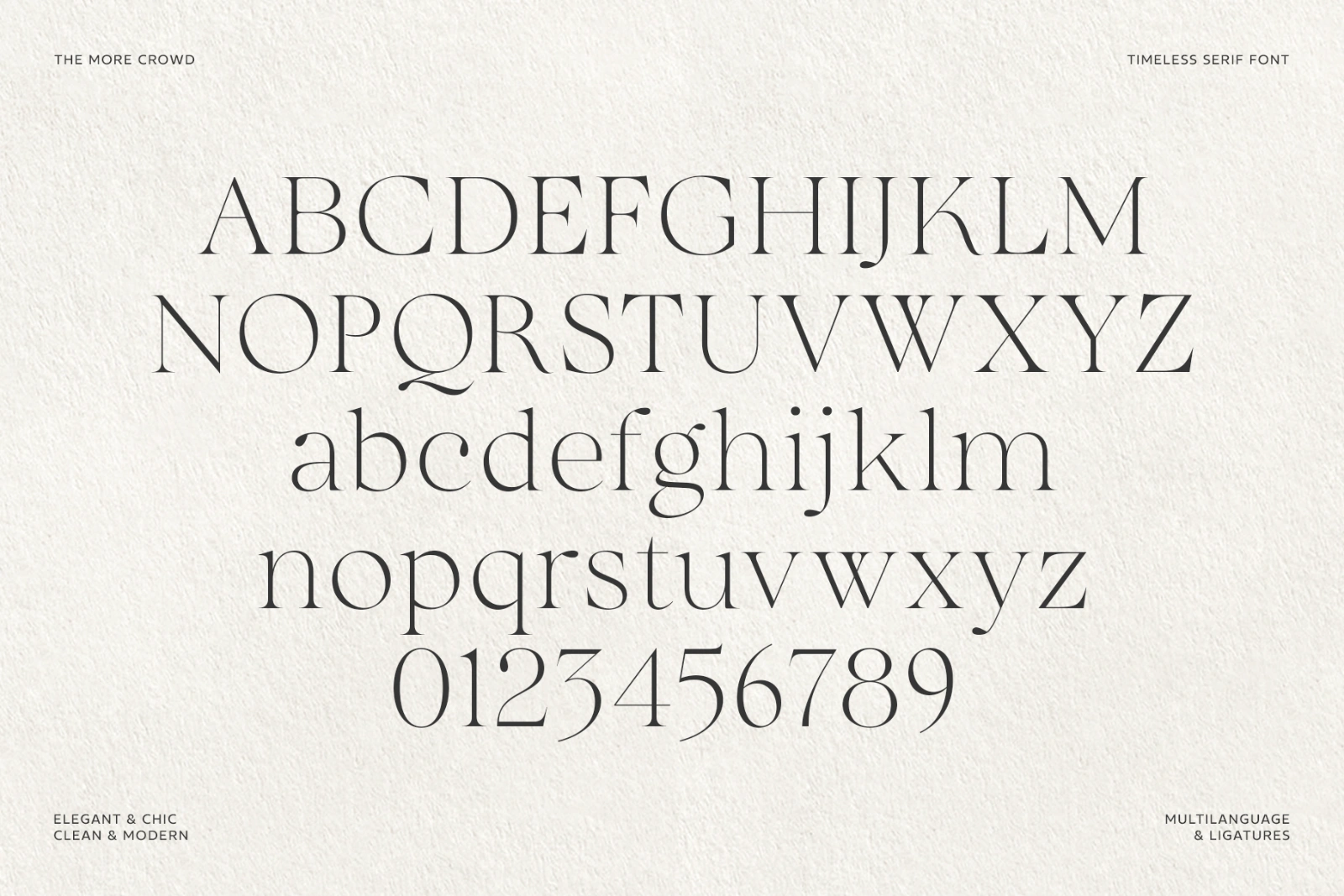 The More Crowd Serif — image 11