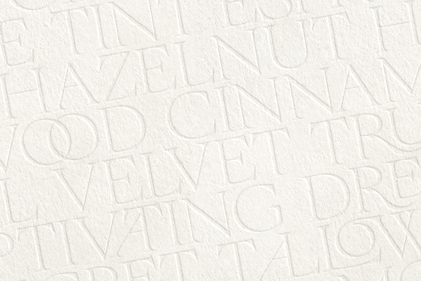 The More Crowd Serif — image 9
