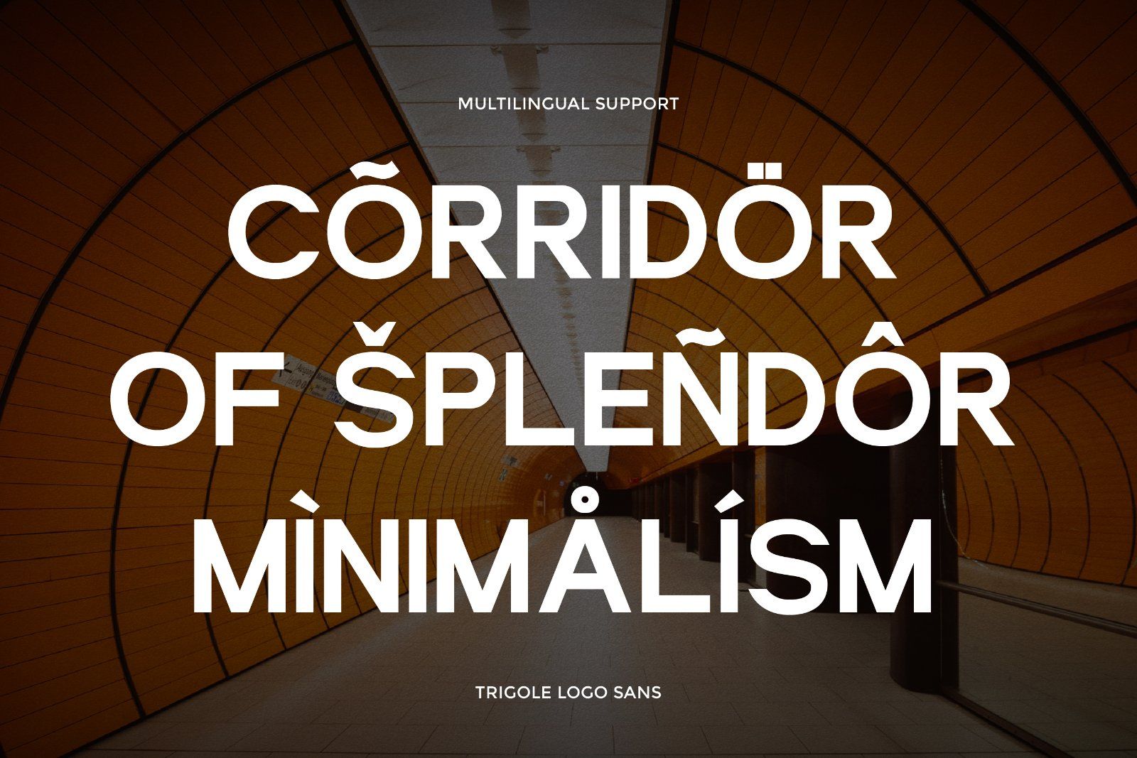 Trigole - Bold Sans Font — image 10