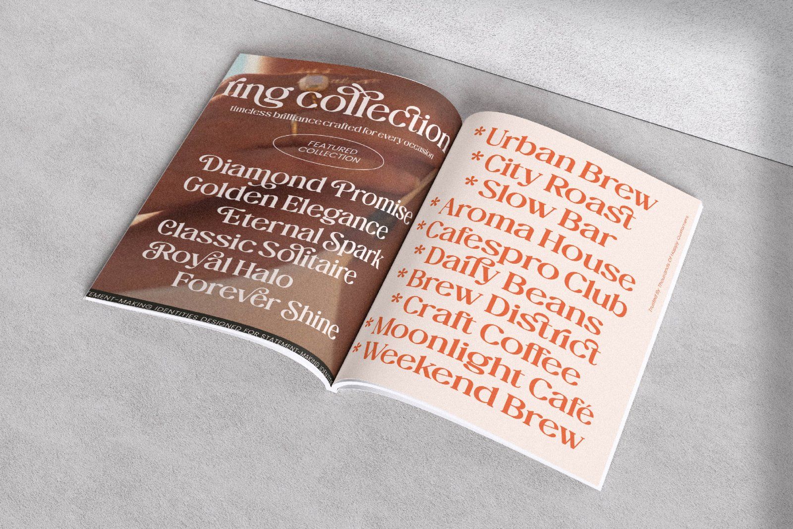 The Daily Midtones Decorative Serif — image 7