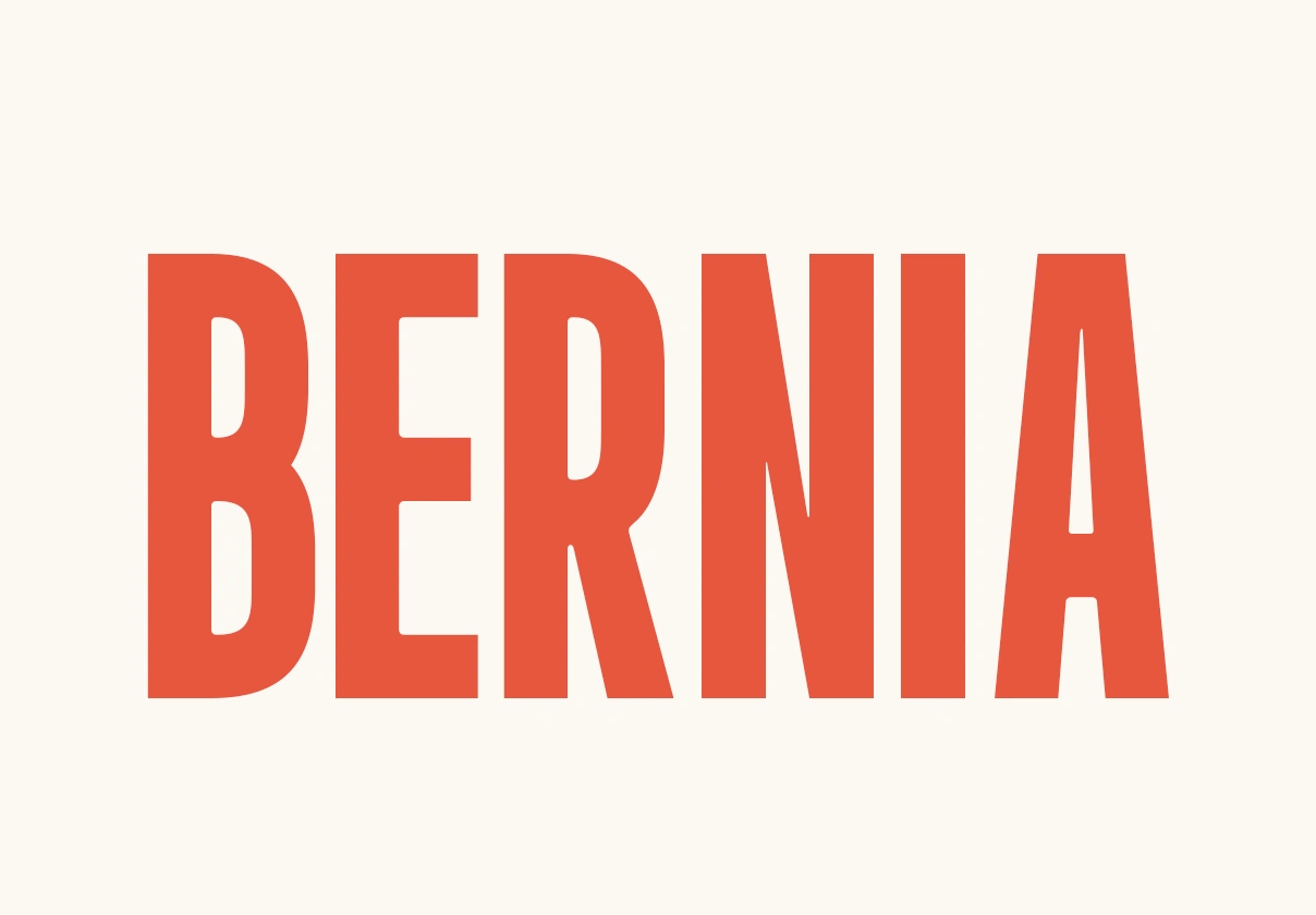 Bernia - Modern Sans Serif Font — image 1