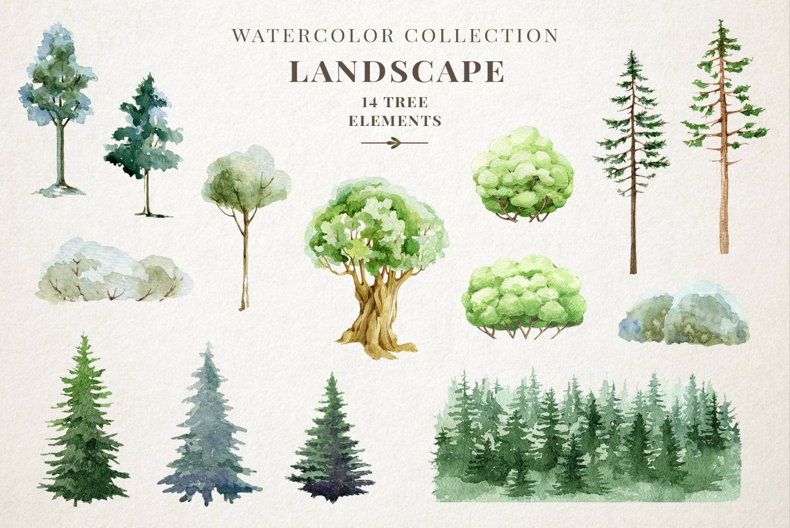 Woodland Animals Watercolor Clipart — image 15