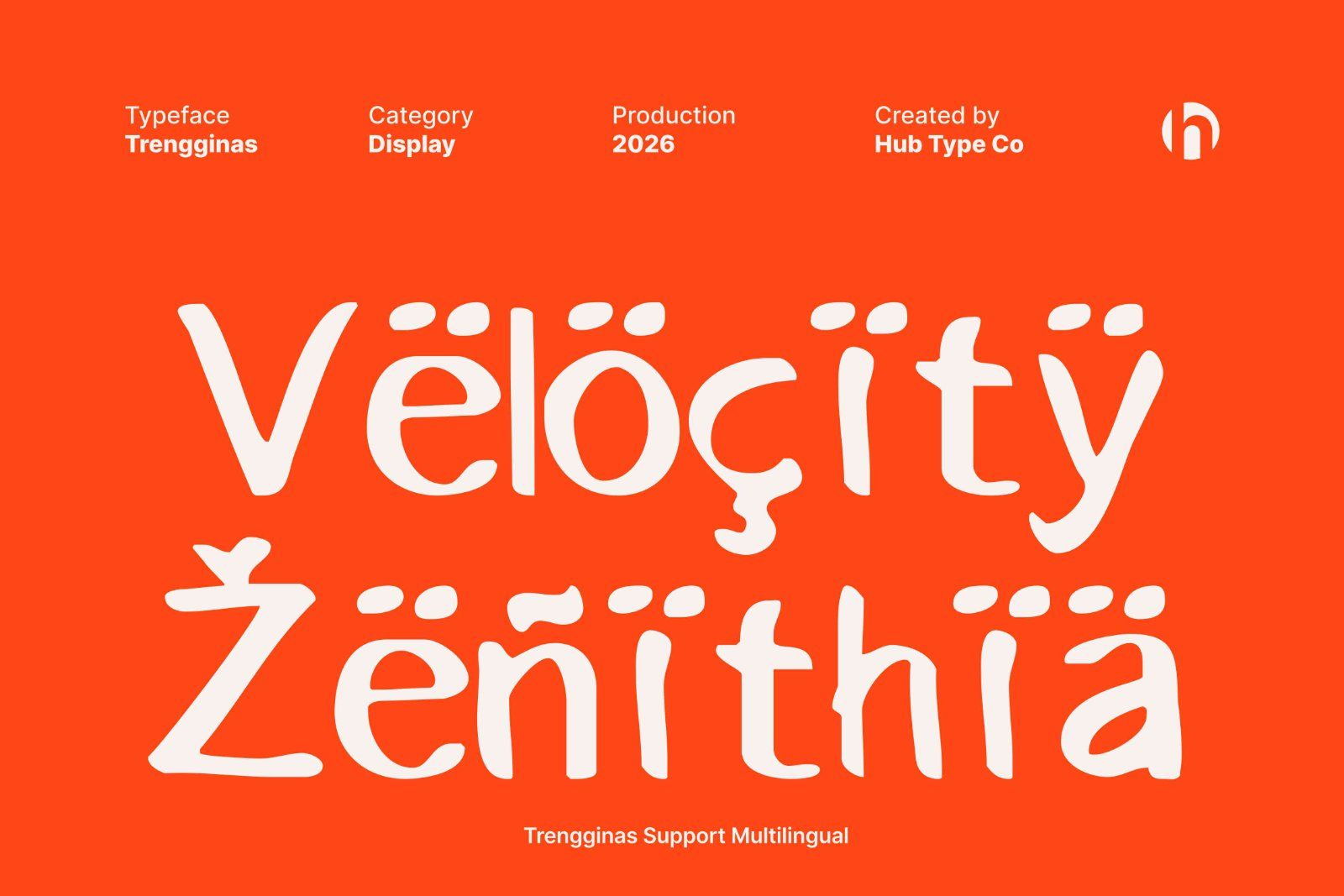 Trengginas – A Timeless & Unorthodox Display Typeface — image 8
