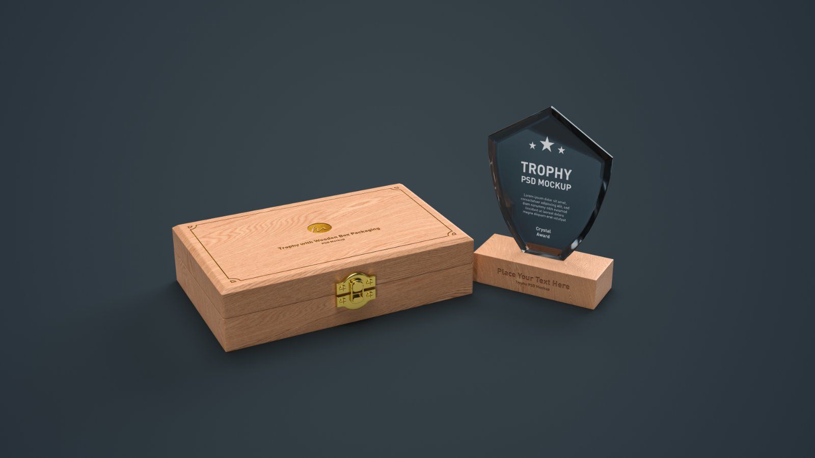 Shield Shape Crystal Award Trophy - 4 PSDs — image 2