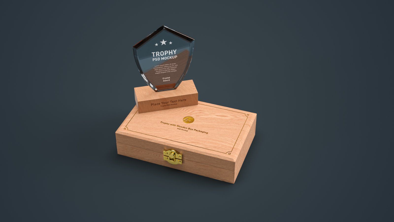 Shield Shape Crystal Award Trophy - 4 PSDs — image 4