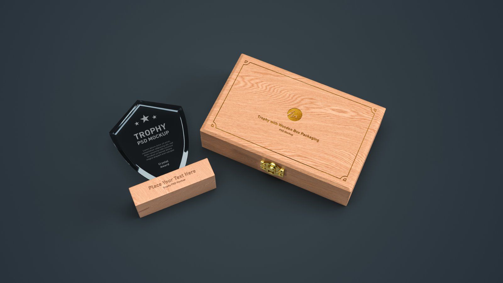 Shield Shape Crystal Award Trophy - 4 PSDs — image 5