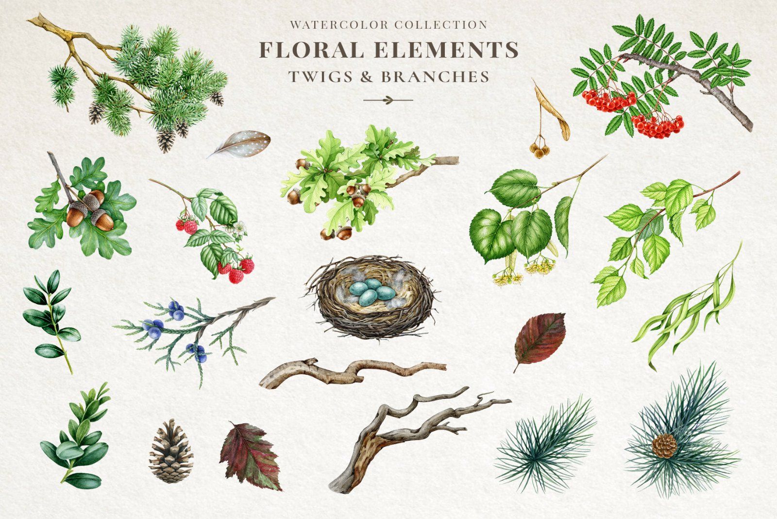 Woodland Animals Watercolor Clipart — image 18