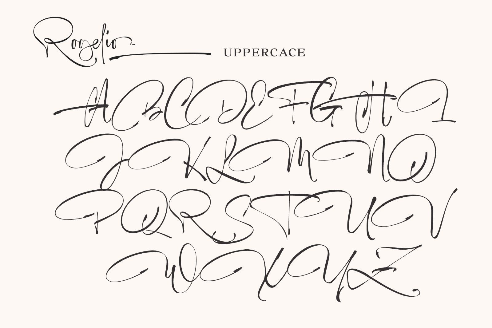 Rogelio Script — image 12