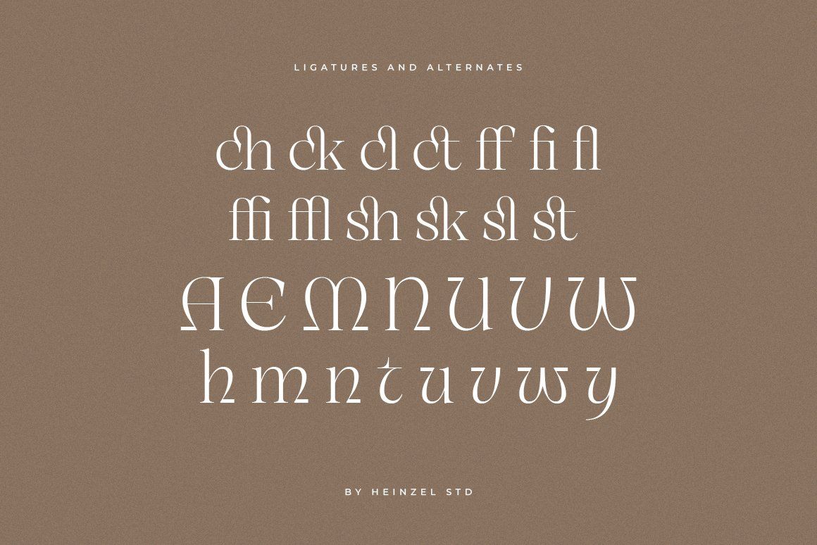 Unclare Serif Font Family With Ligatures — image 10