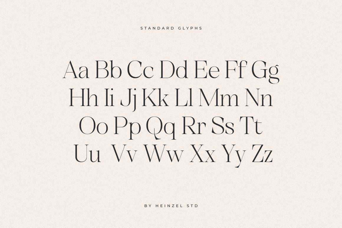 Unclare Serif Font Family With Ligatures — image 11
