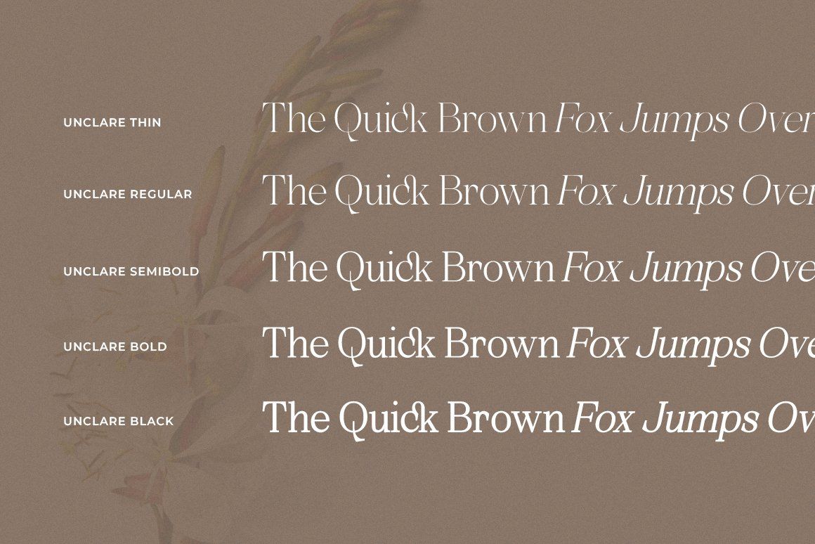 Unclare Serif Font Family With Ligatures — image 14