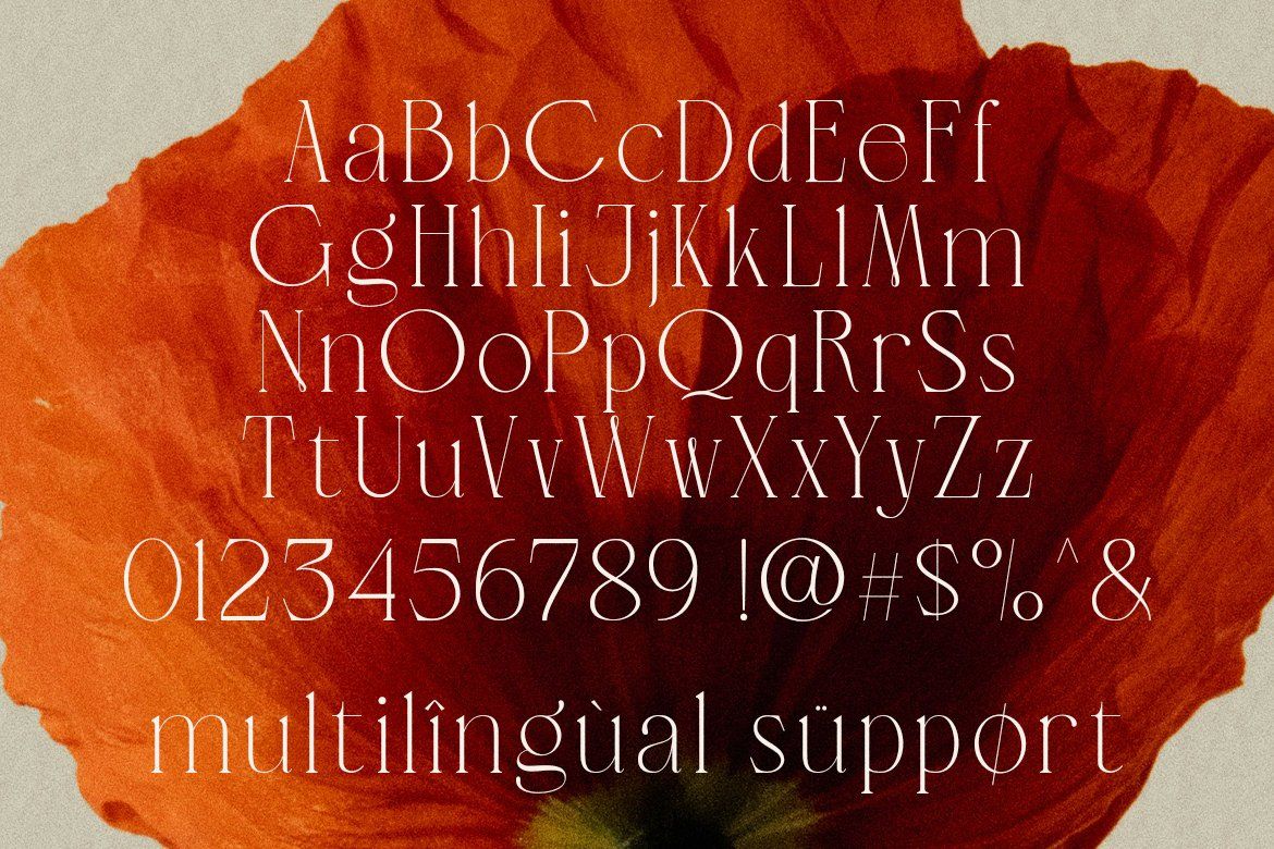 LT Verola – Rich Serif Ligature Typeface