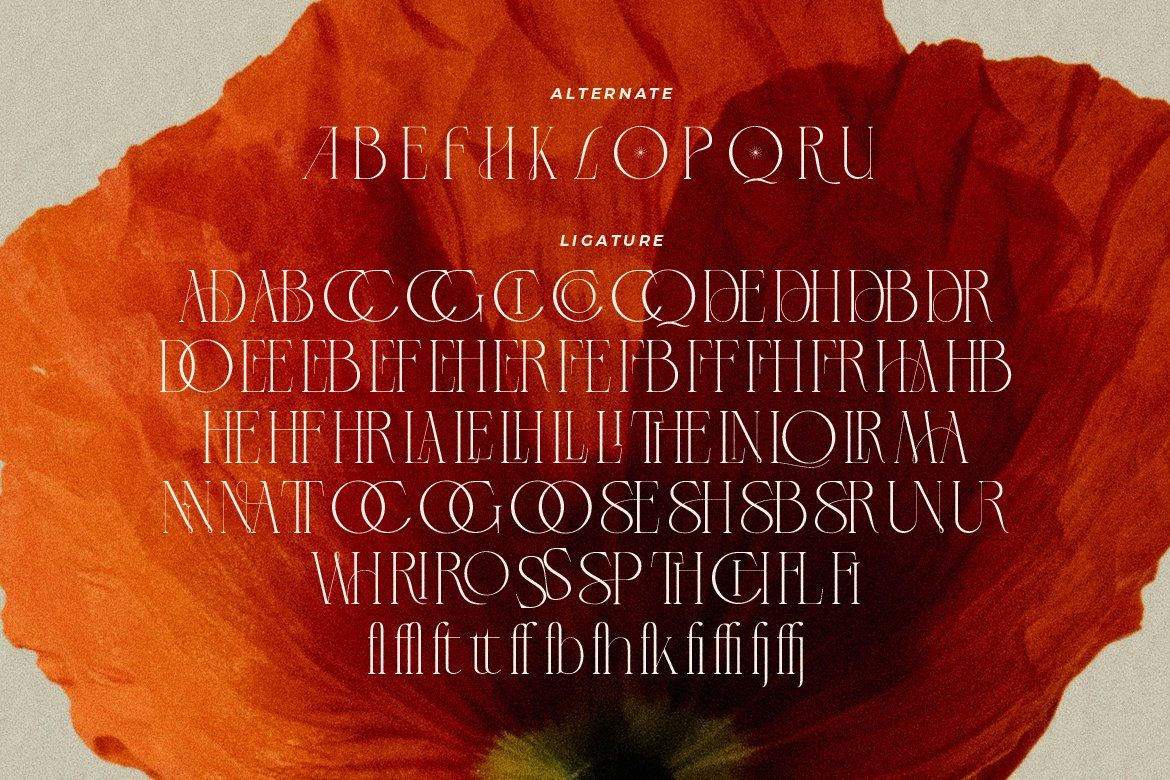 LT Verola – Rich Serif Ligature Typeface
