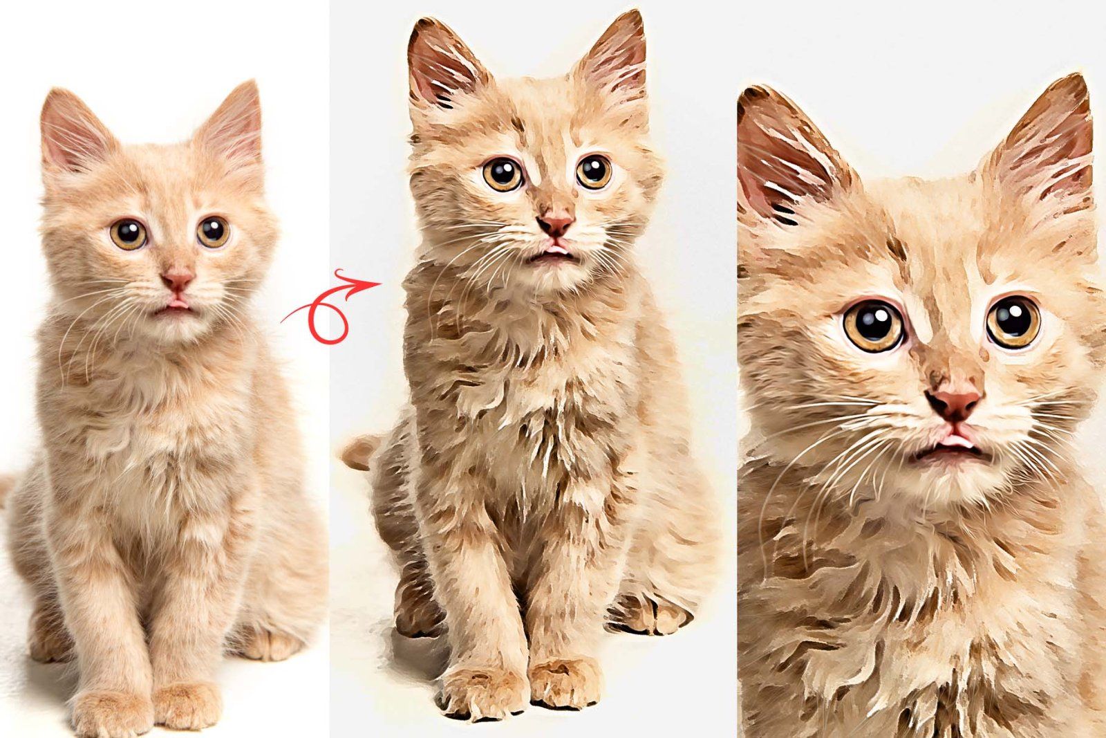 Vibrant Oil Paint Photoshop Action