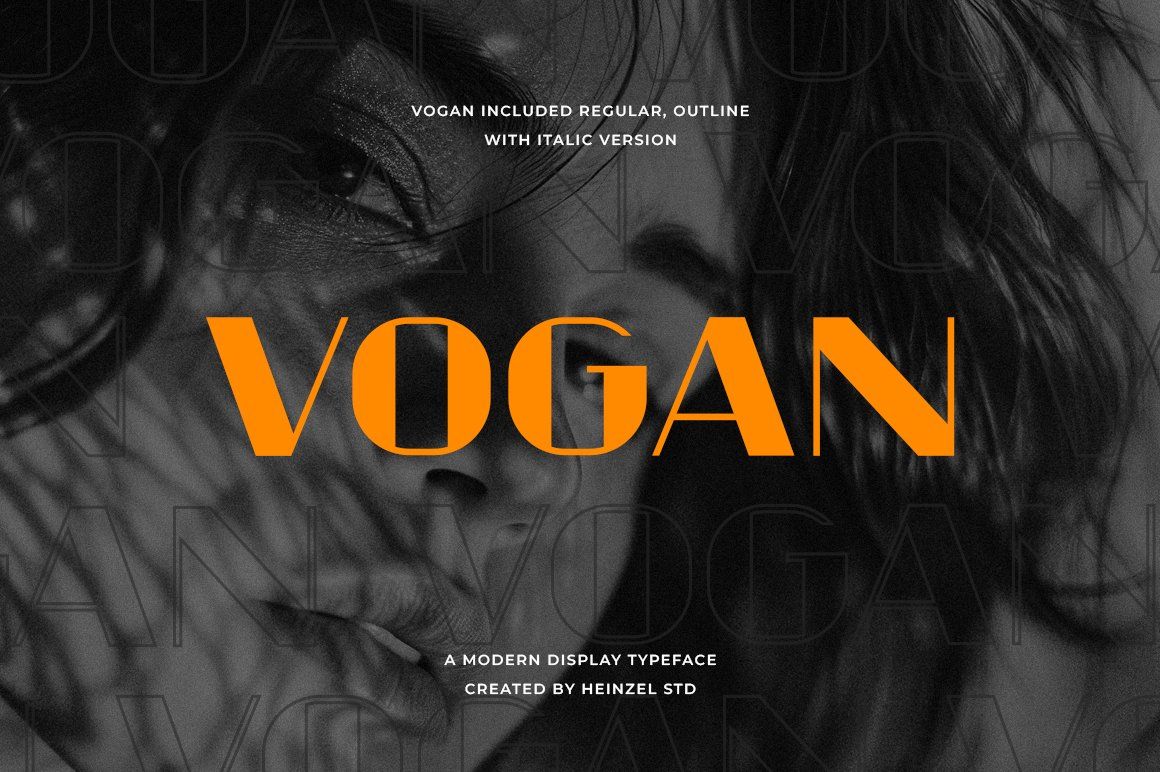 Vogan Modern Display Typeface — image 1