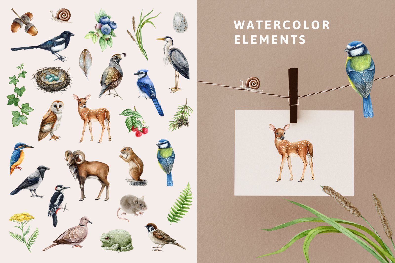 Forest Alphabet Watercolor Clipart — image 4