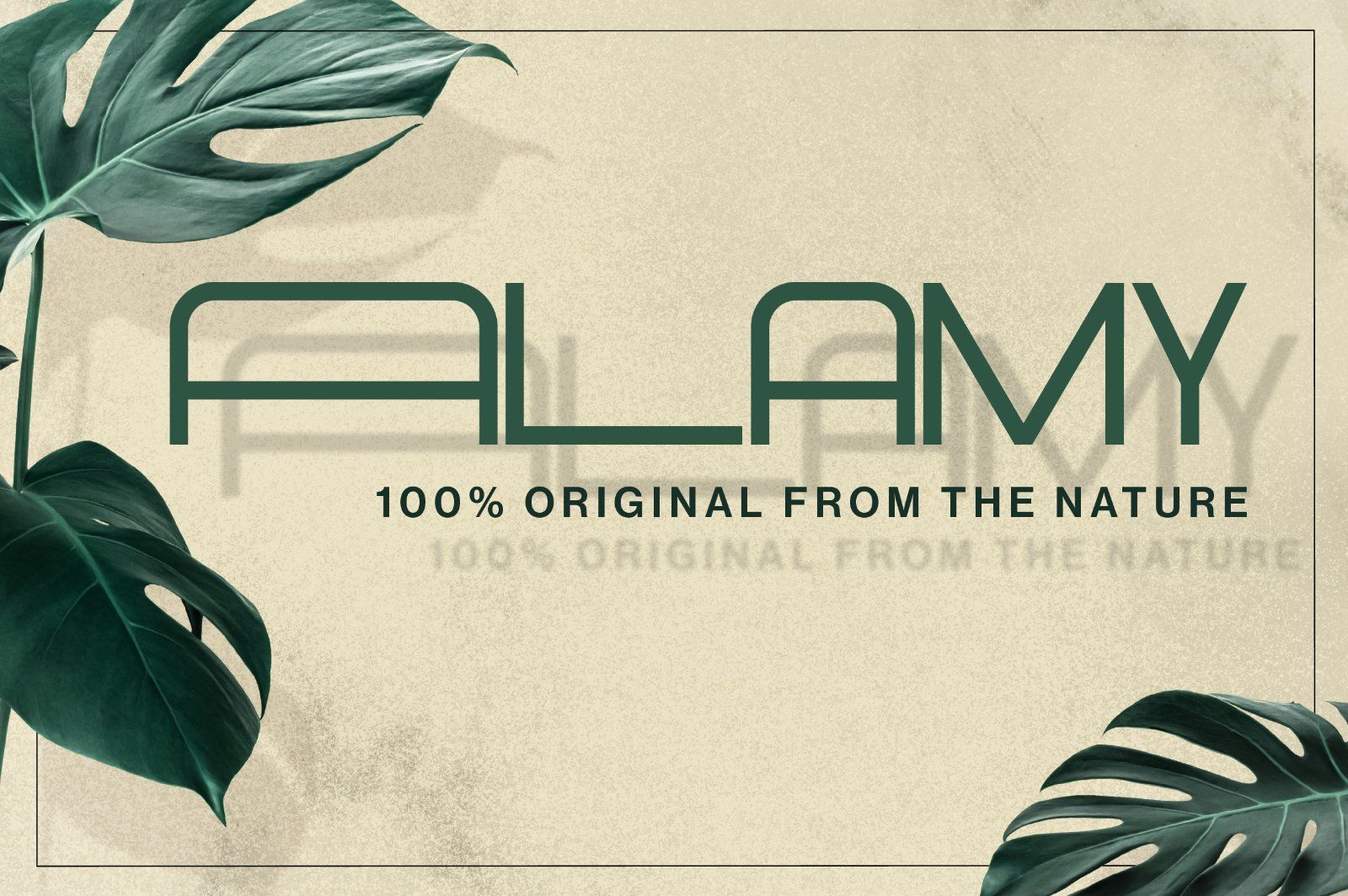 Whoomp Extended Wide Modern Typeface — image 13