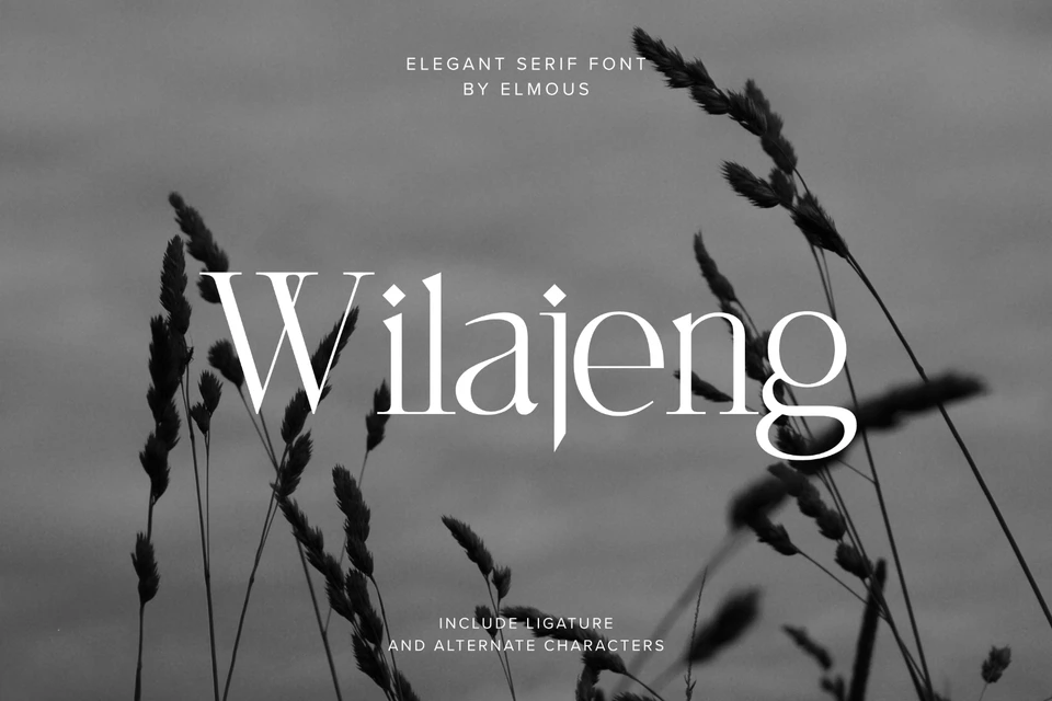 Wilajeng - Classy Elegant Serif Typeface