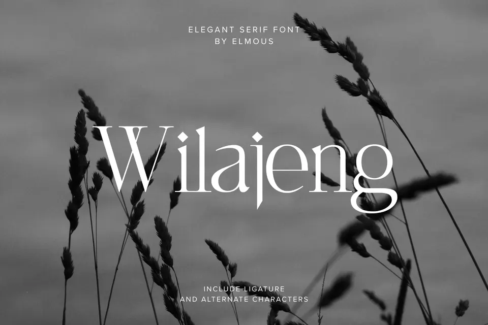 Wilajeng - Classy Elegant Serif Typeface