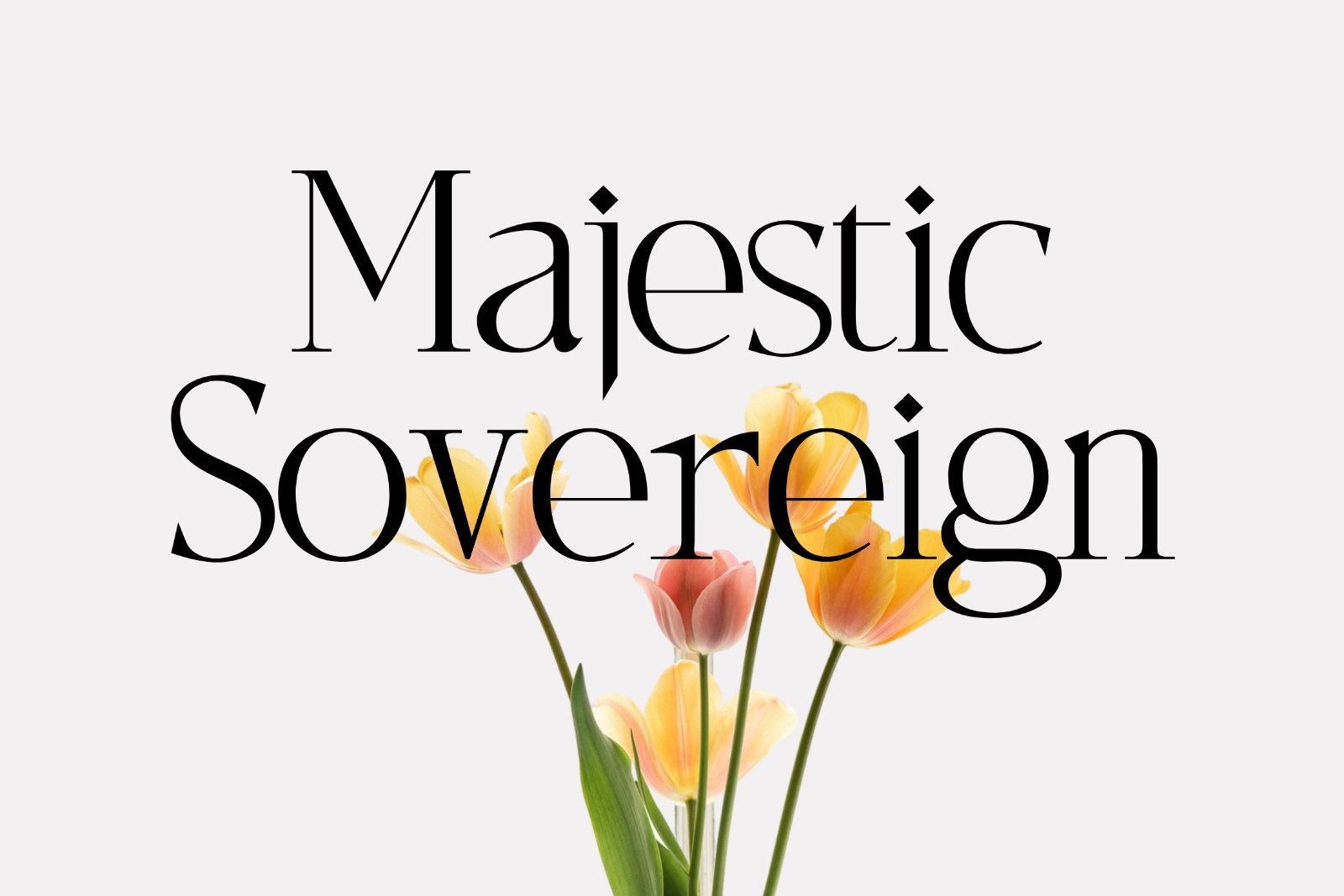 Wilajeng - Classy Elegant Serif Typeface — image 2