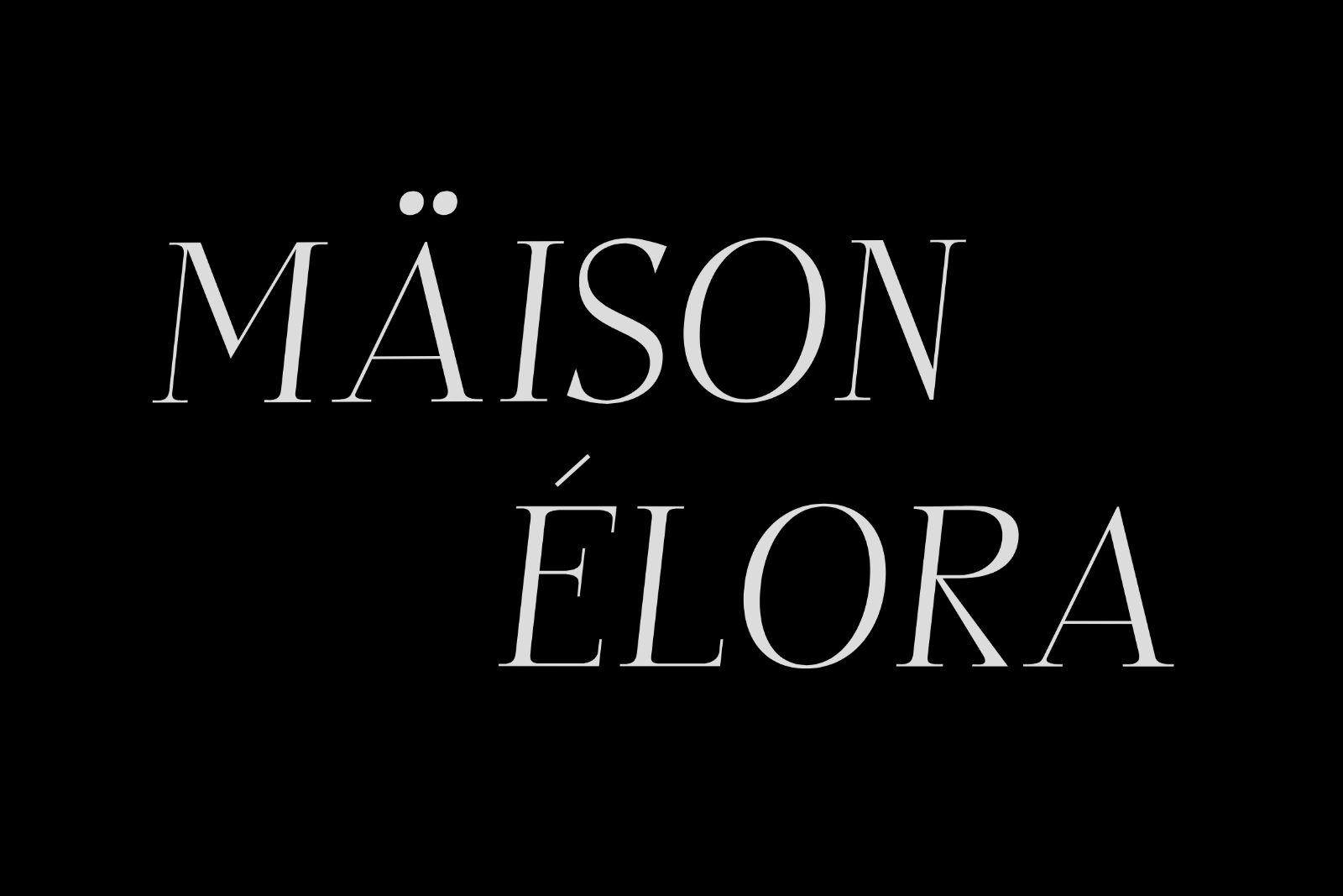 Wilajeng - Classy Elegant Serif Typeface — image 7