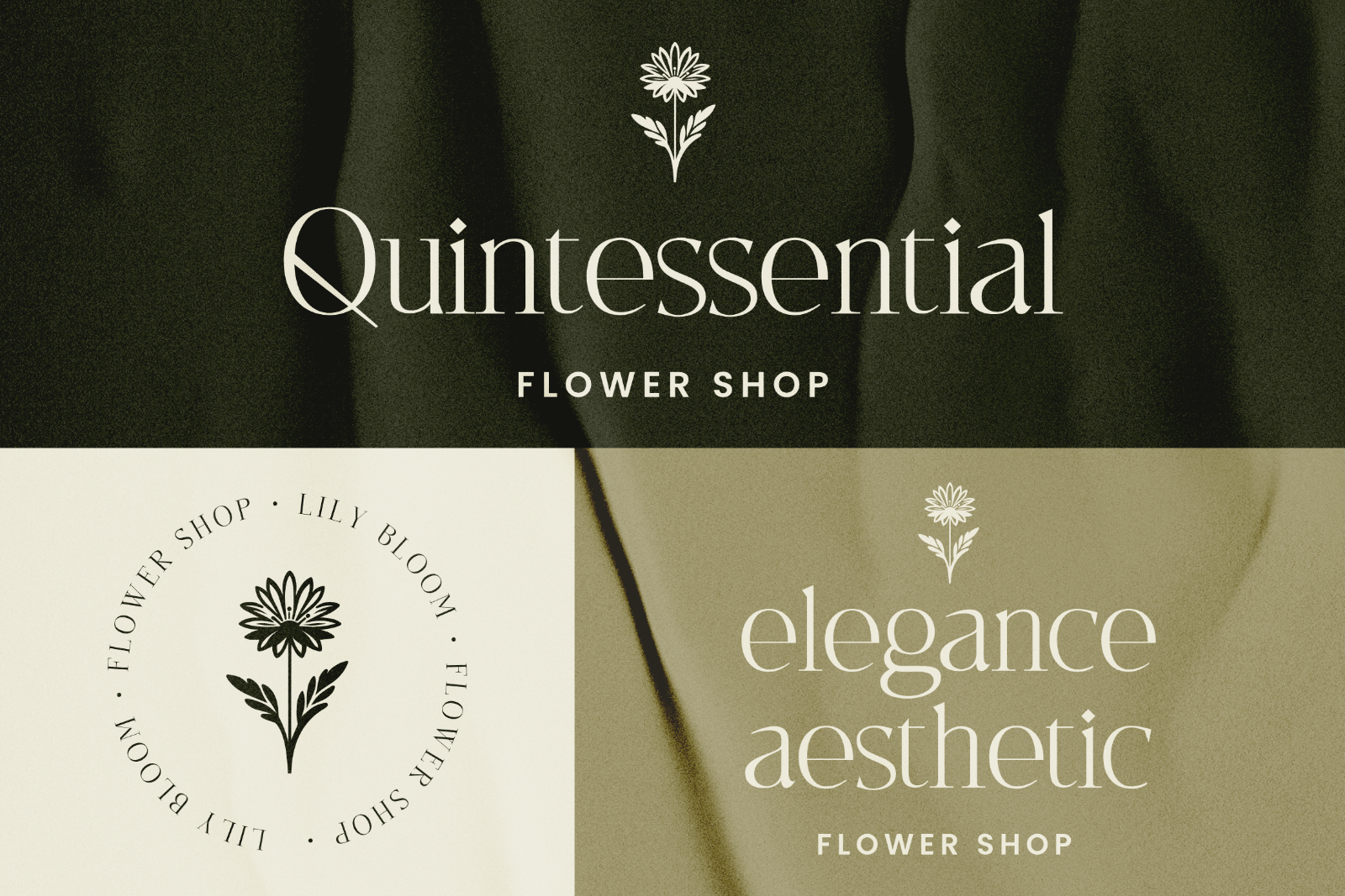 Wilajeng - Classy Elegant Serif Typeface — image 5