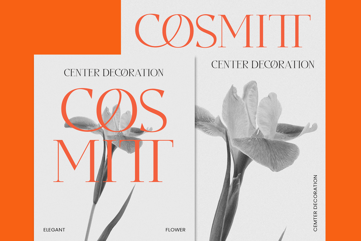 Wilajeng - Classy Elegant Serif Typeface — image 3