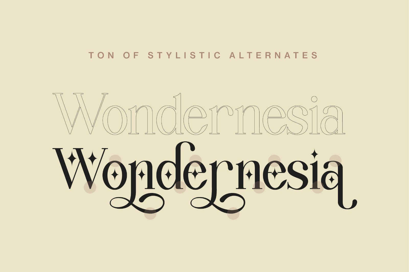 Wondernesia Nostalgic & Modern Serif — image 2