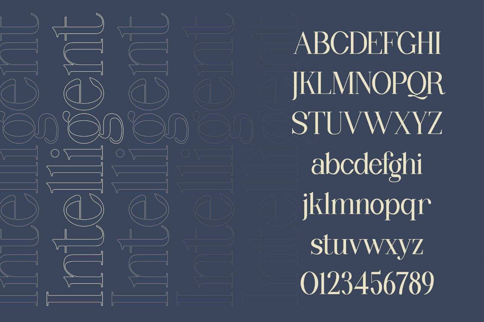 Wondernesia Nostalgic & Modern Serif — image 6
