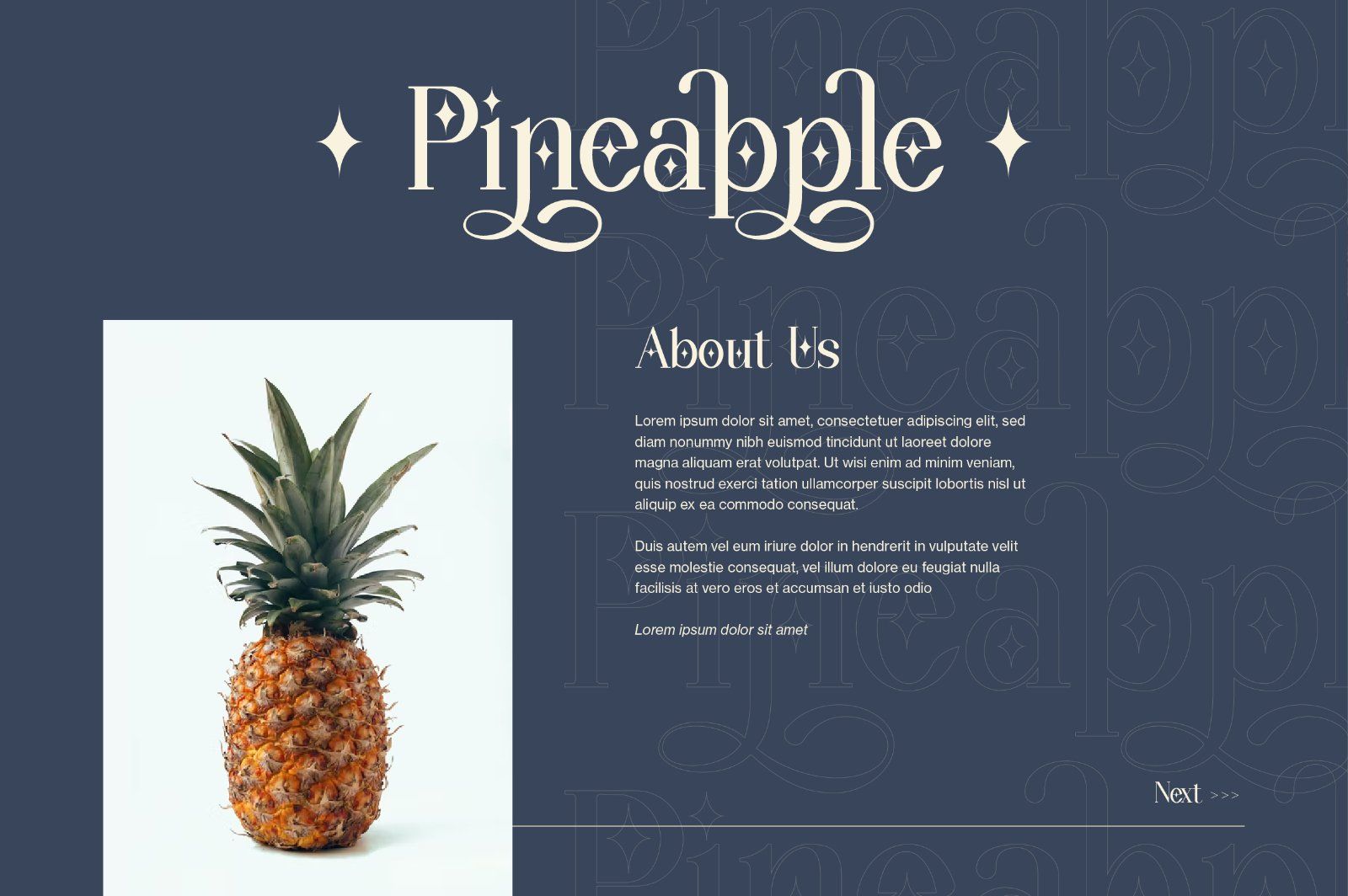 Wondernesia Nostalgic & Modern Serif — image 11