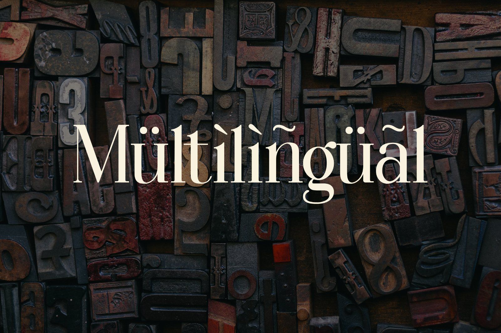 Wondernesia Nostalgic & Modern Serif — image 14