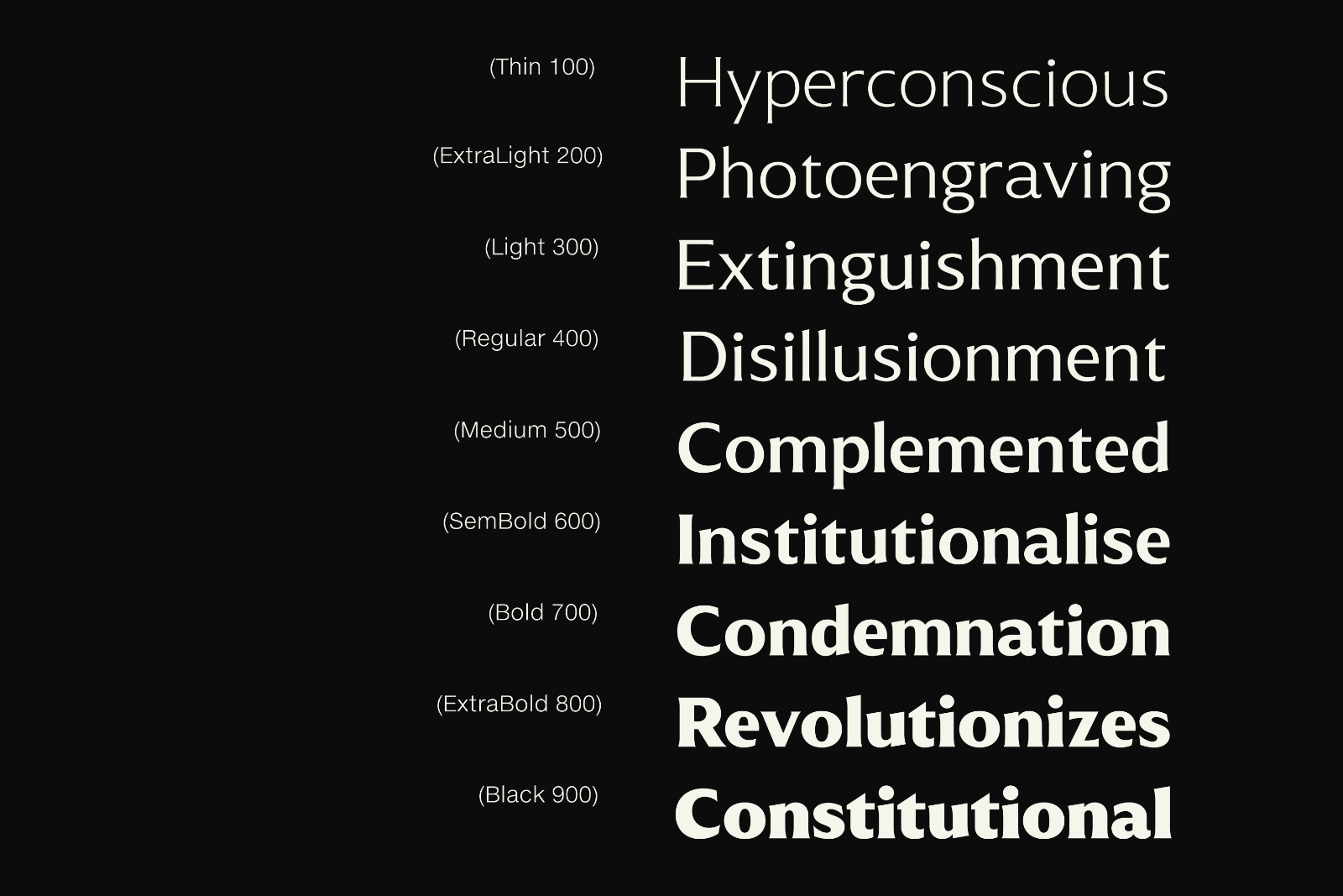 Muchino - Serif Family — image 4