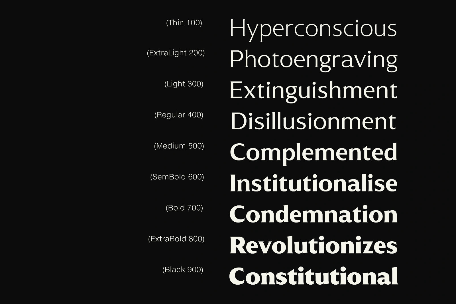 Muchino - Serif Family — image 4