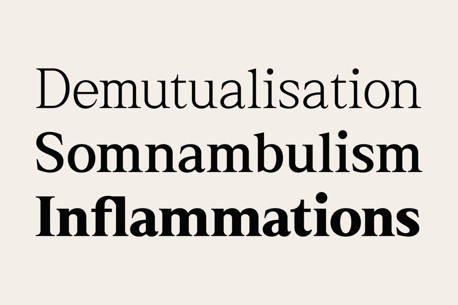 Rhimen - Serif Font Family — image 6