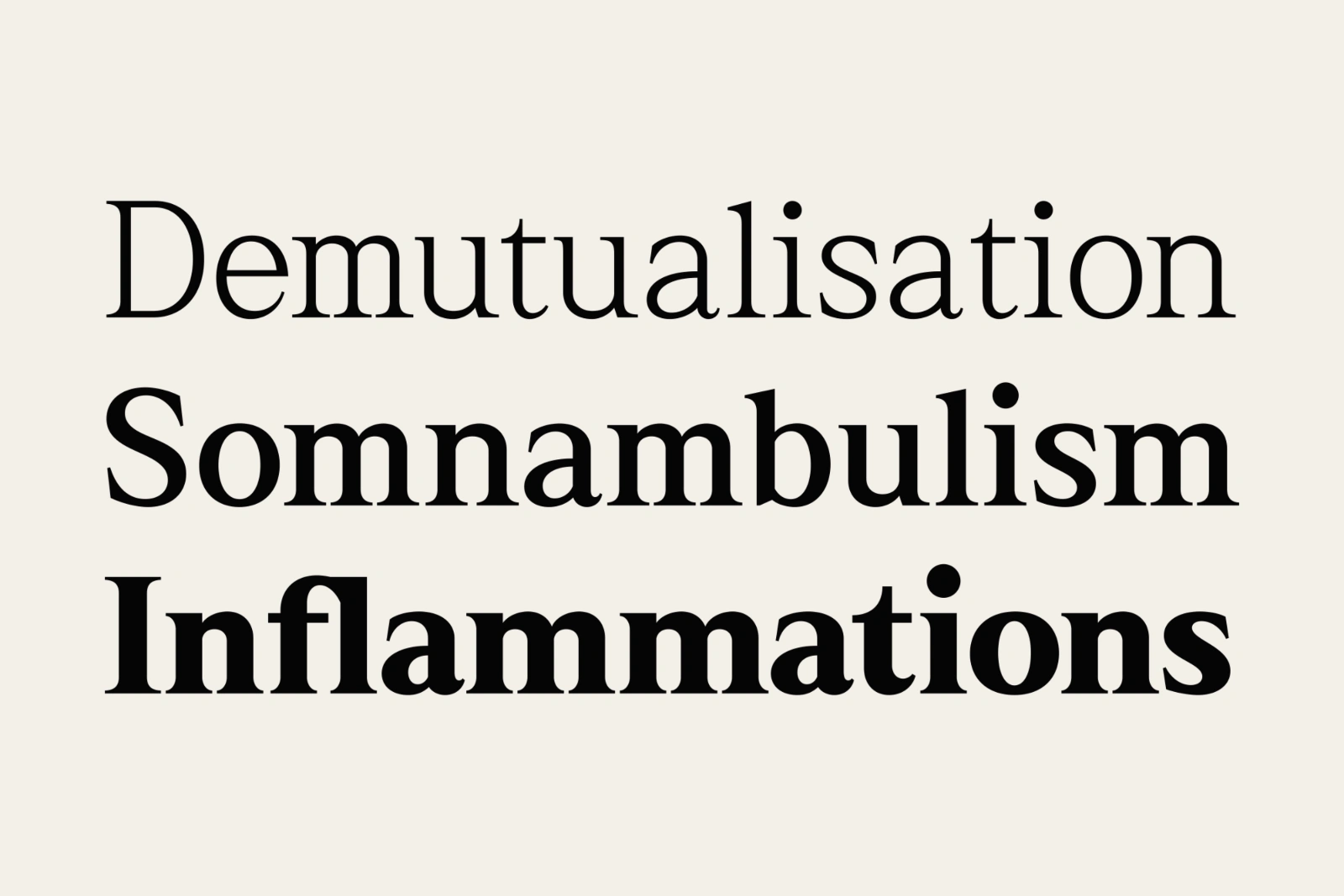 Rhimen - Serif Font Family — image 6