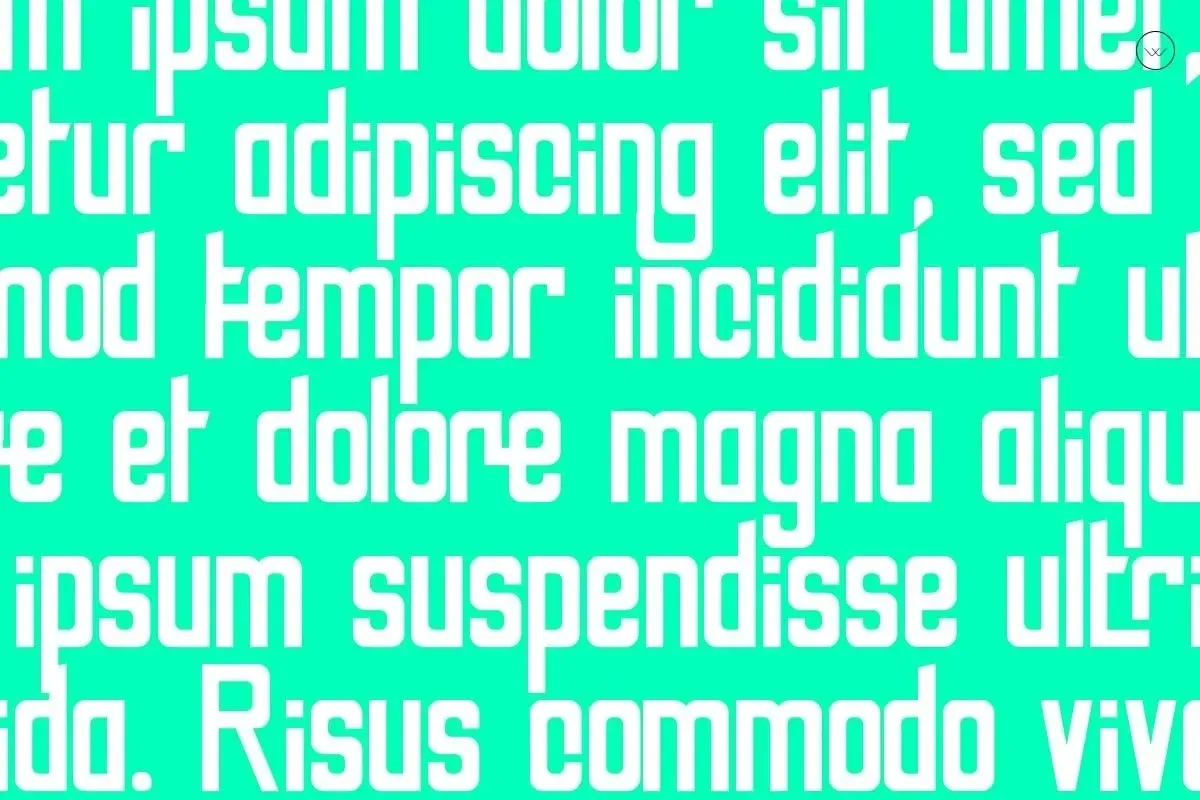 Kooper Solid — image 4