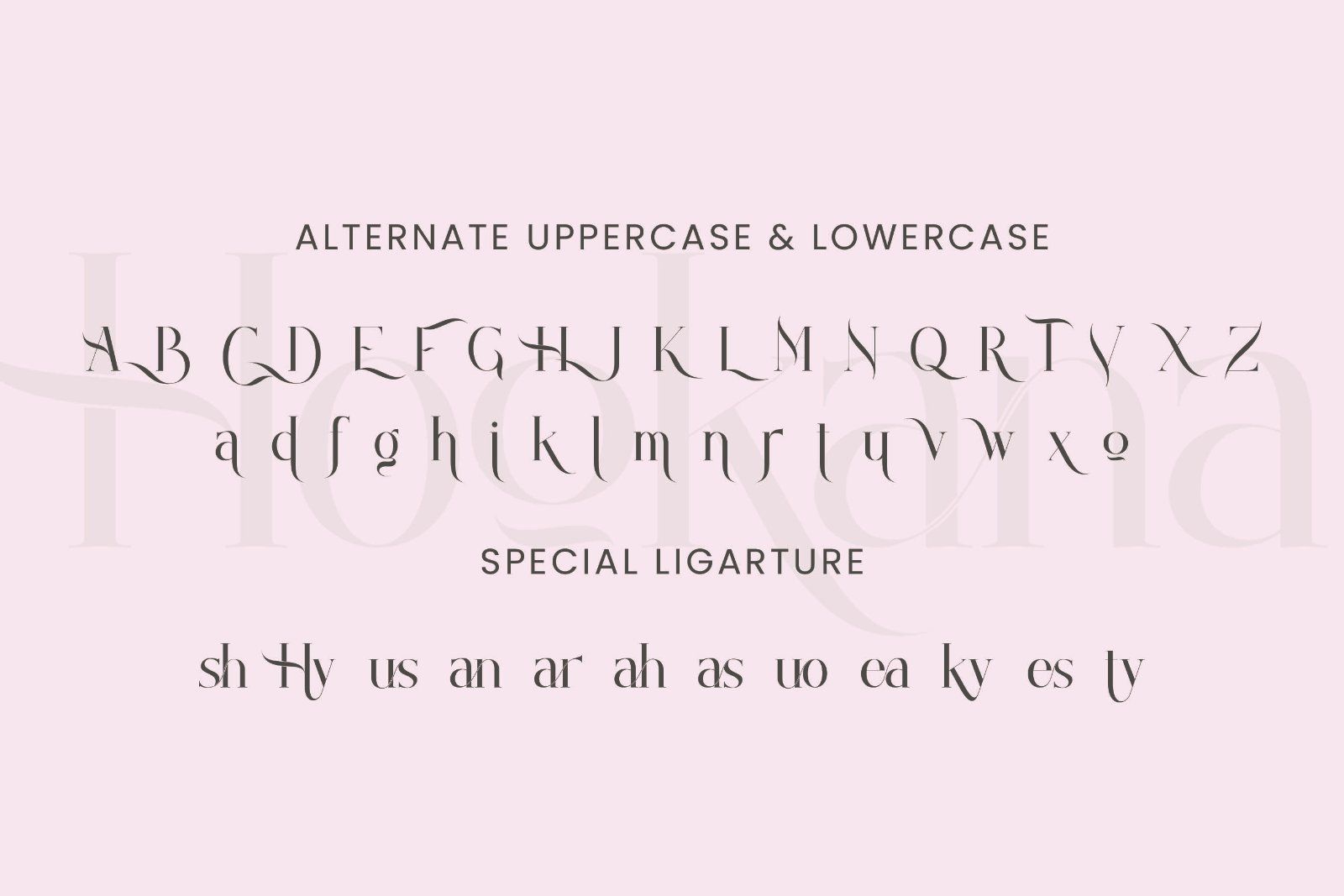 Hookana - Elegant Serif Font — image 9
